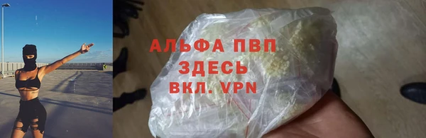 спайс Арсеньев