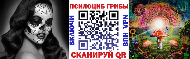 площадка какой сайт  Луховицы  Псилоцибиновые грибы мухоморы  кракен ТОР 